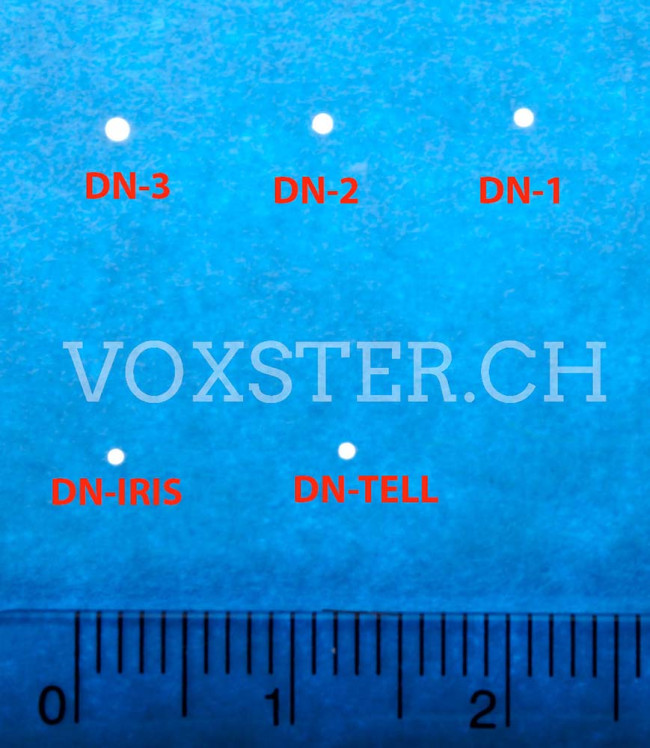 Stecknadel IRIS, 3.0 cm in grosser Dose Bild 2