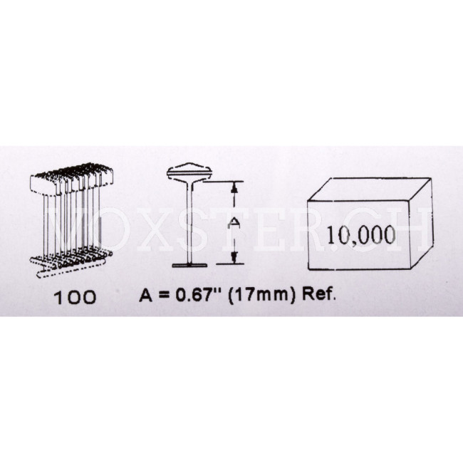 Dennison® Heftfäden, PP, naturfarben, 17 mm Bild 2